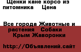 Щенки кане корсо из  питомника! › Цена ­ 65 000 - Все города Животные и растения » Собаки   . Крым,Жаворонки